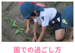 園での過ごし方